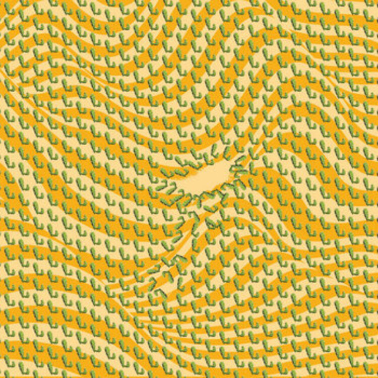 Electronic Arms and Sleepers − Former Kingdoms LP (cactus green)