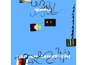 Electronic Guests - Common Domestic Bird LP