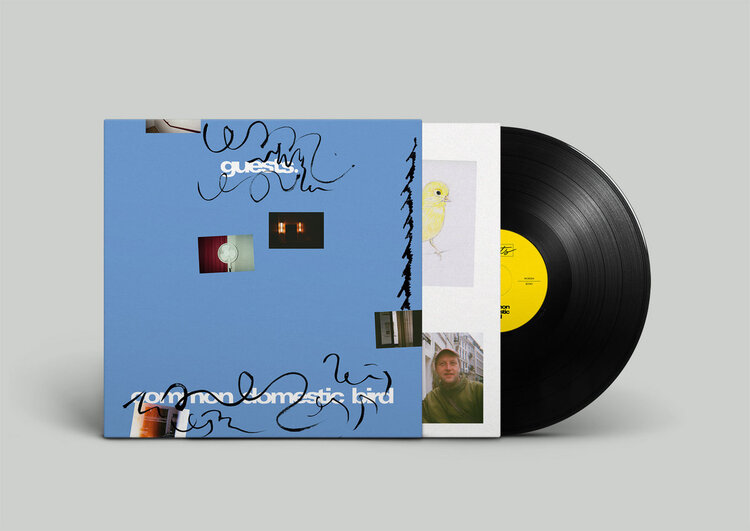 Electronic Guests - Common Domestic Bird LP