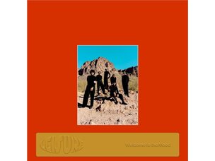 Electronic Leisure - Welcome To The Mood LP