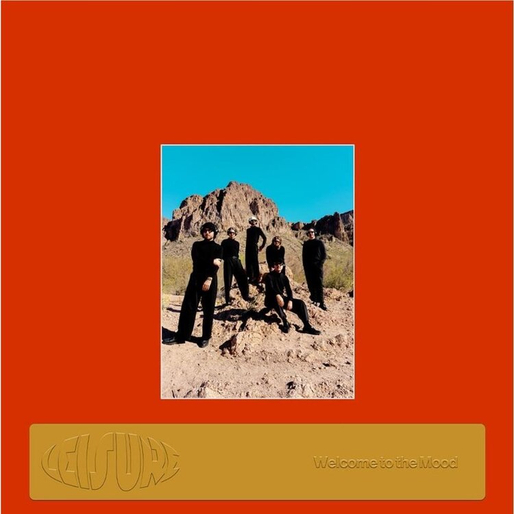 Electronic Leisure - Welcome To The Mood LP
