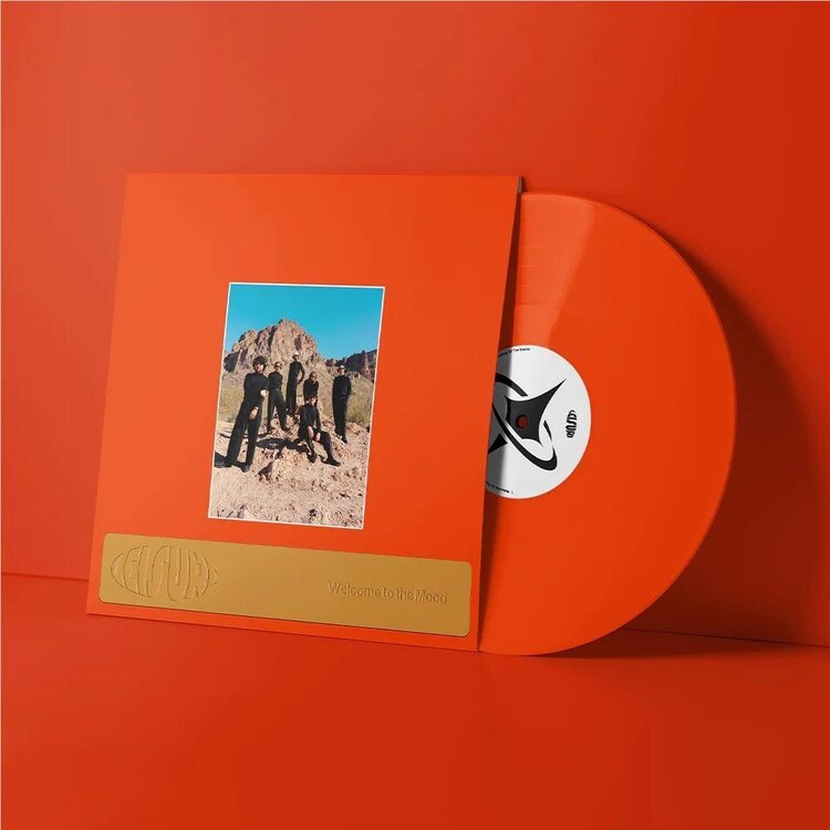 Electronic Leisure - Welcome To The Mood LP