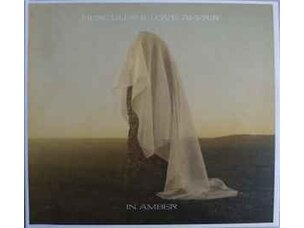 Electronic Hercules and Love Affair - In Amber LP