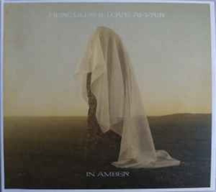 Electronic Hercules and Love Affair - In Amber LP