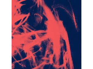 Electronic Rival Consoles - Landscape From Memory LP (IEX)