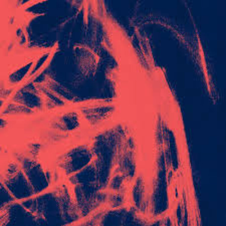 Electronic Rival Consoles - Landscape From Memory LP (IEX)