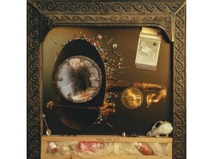Rock / Indie / Alternative (10/2/26) Wishy - Nature's Pill