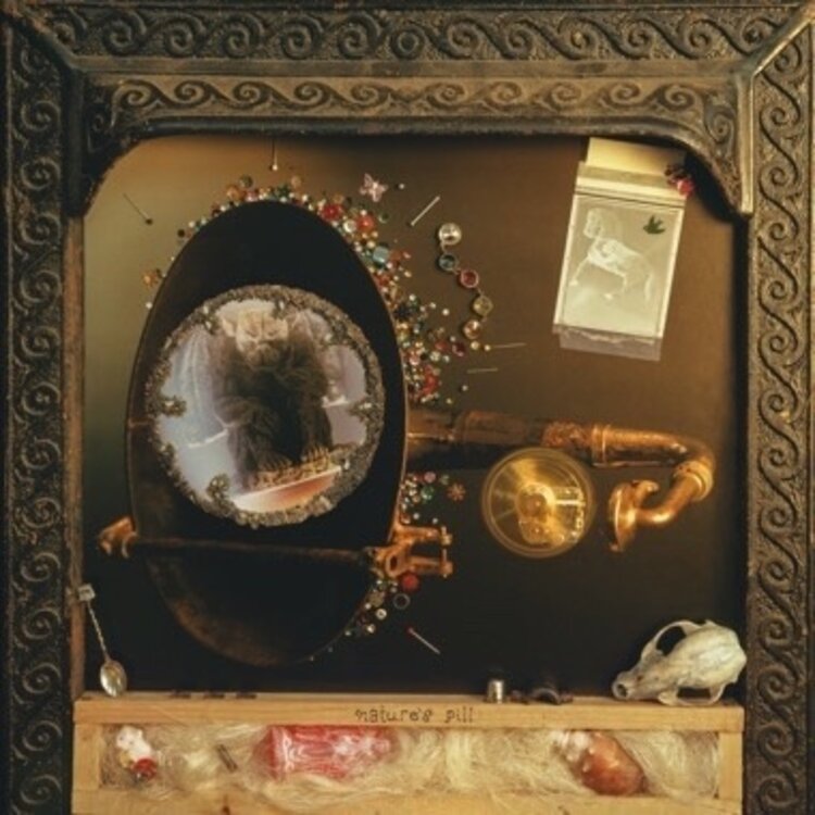 Rock / Indie / Alternative (10/2/26) Wishy - Nature's Pill