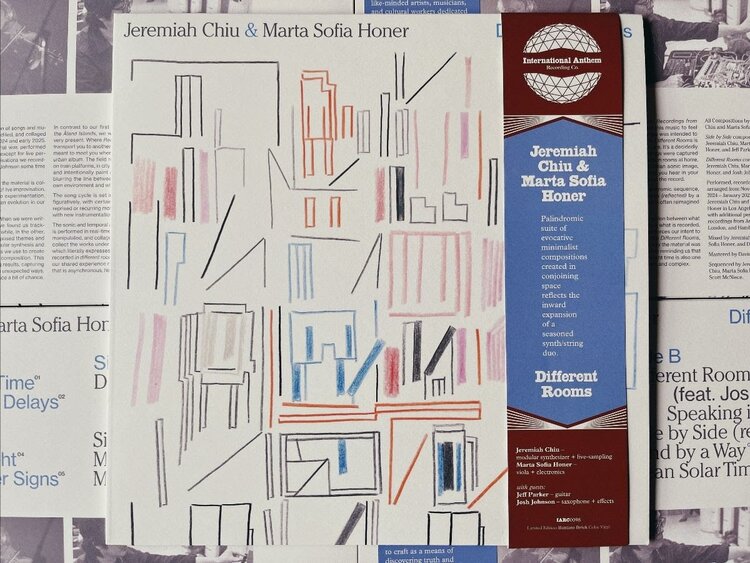 Jazz Chiu, Jeremiah & Marta Sofia Honer - Different Rooms LP (black)