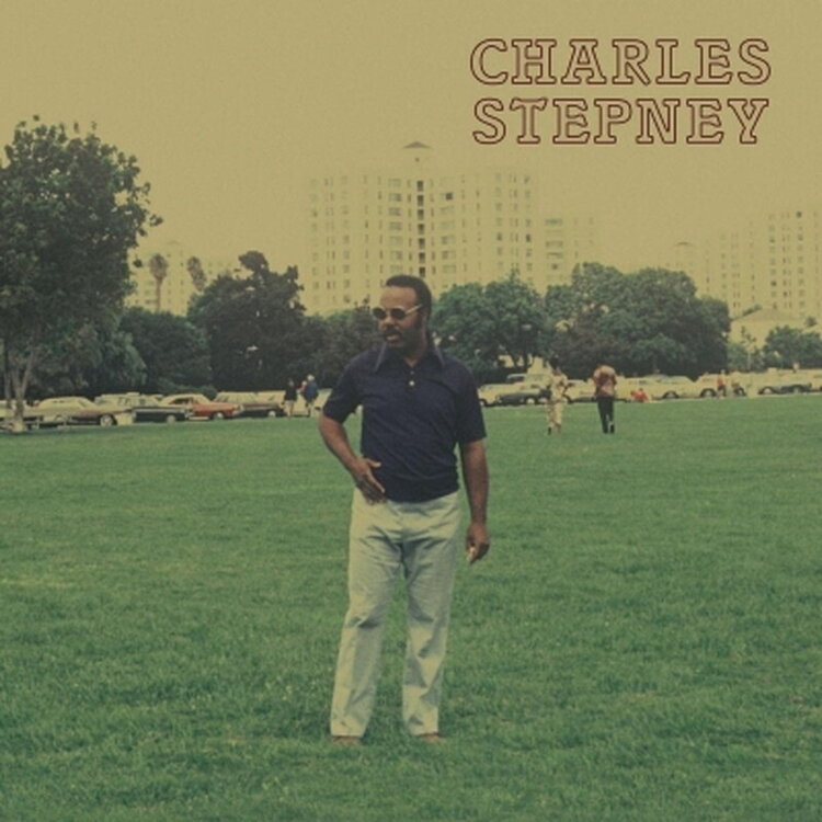 R&B / Soul / Funk Stepney, Charles - Step On Step LP (black)