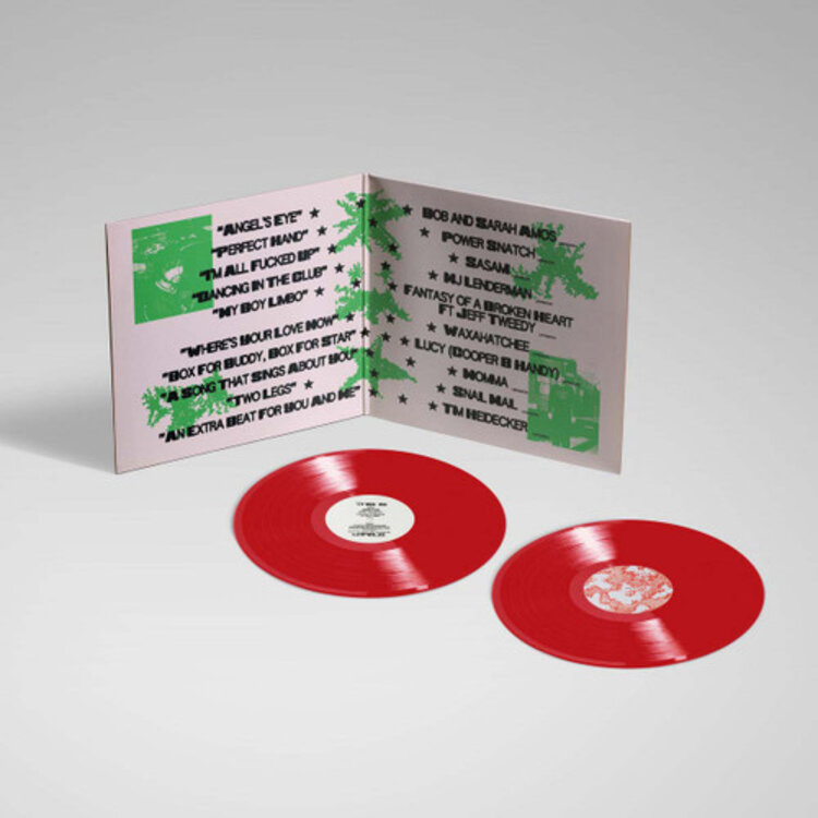 Rock / Indie / Alternative This Is Lorelei - Box for Buddy... (Super Deluxe) LP