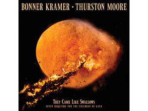 Rock / Indie / Alternative Bonner Kramer / Thurston Moore - They Came Like LP (color)