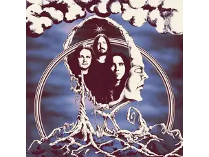 Rock / Indie / Alternative Primitive Ring - S/T LP