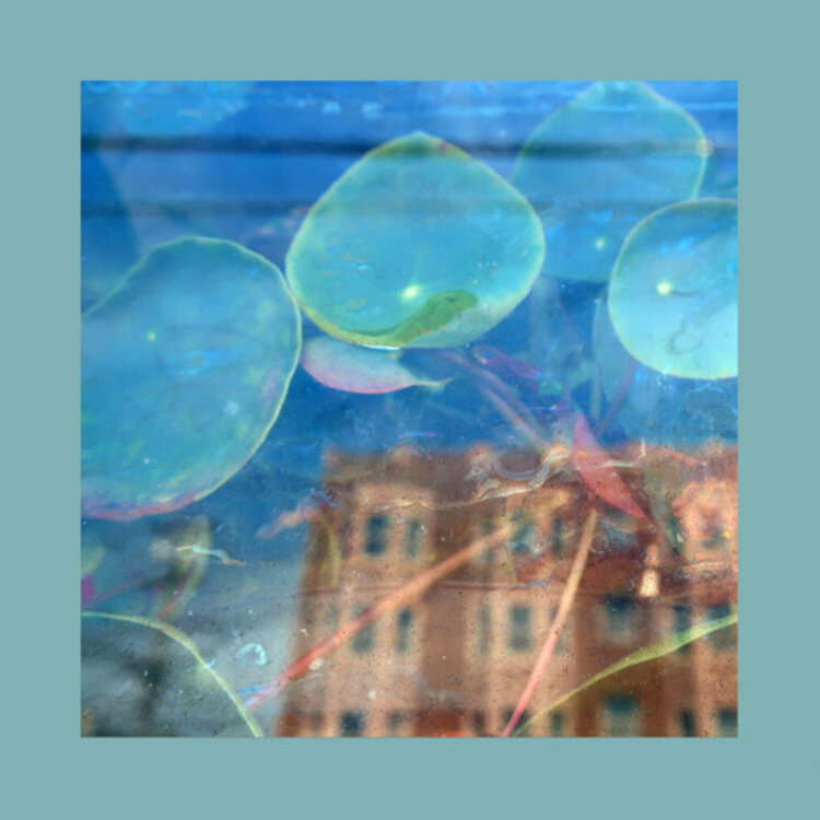 Rock / Indie / Alternative The Reds, Pinks & Purples / Acknowledge Kindness LP (color)