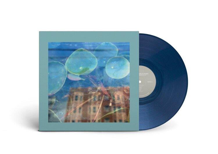 Rock / Indie / Alternative The Reds, Pinks & Purples / Acknowledge Kindness LP (color)