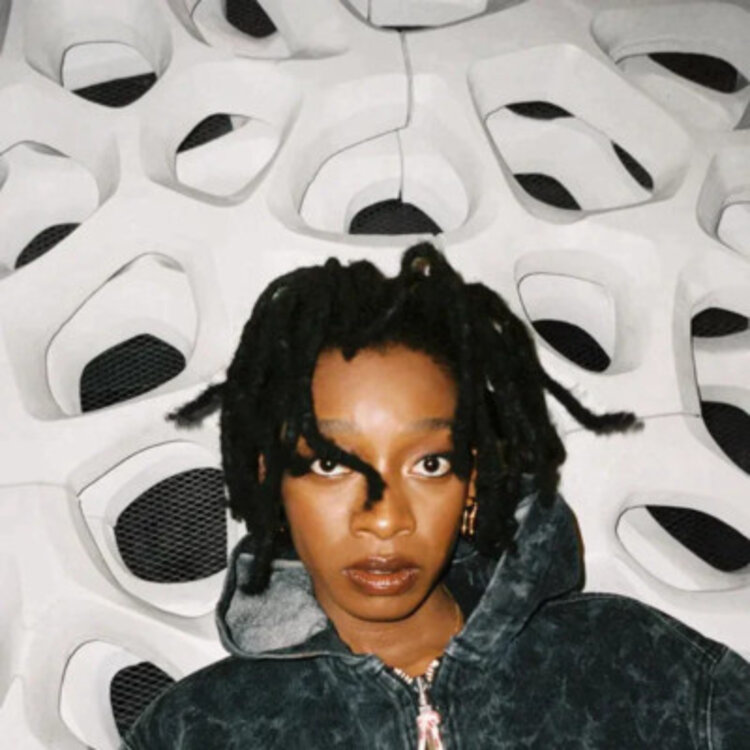 Hip Hop Little Simz - No Thank You LP (clear)