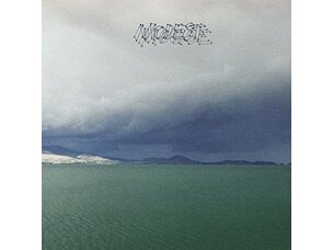 Rock / Indie / Alternative Modest Mouse - Fruit That Ate Itself LP