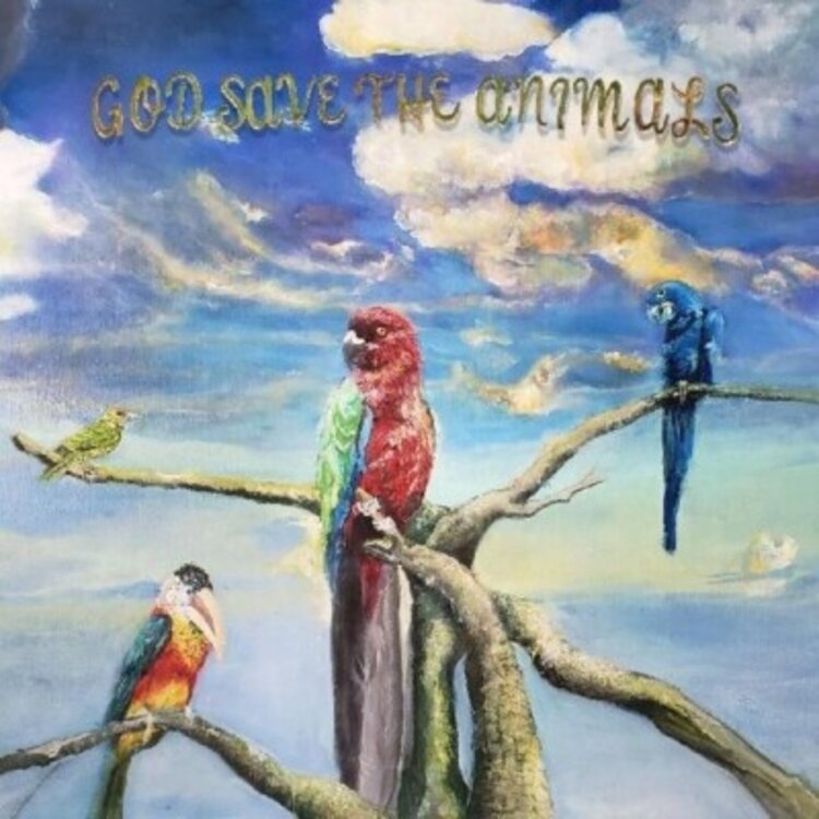 Rock / Indie / Alternative Alex G - God Save The Animals LP (black)