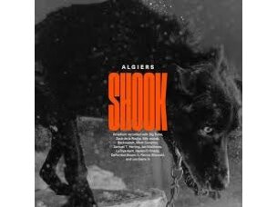 Rock / Indie / Alternative sale - Algiers - Shook LP