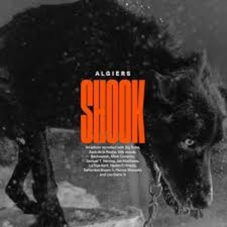 Rock / Indie / Alternative sale - Algiers - Shook LP