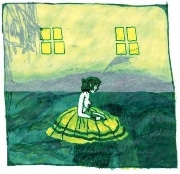 Rock / Indie / Alternative Animal Collective - Prospect Hummer LP