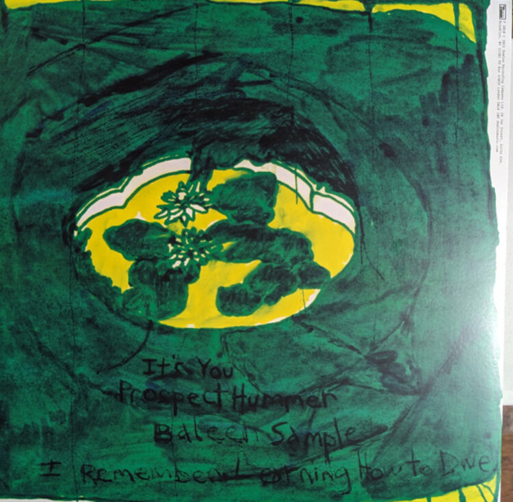 Rock / Indie / Alternative Animal Collective - Prospect Hummer LP
