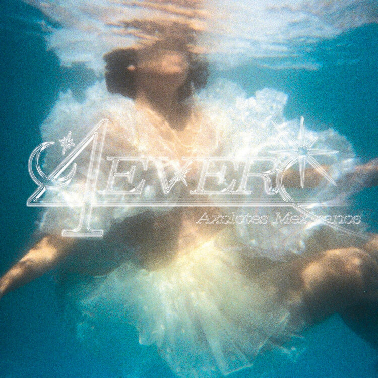 Rock / Indie / Alternative Axolotes Mexicanos - 4Ever LP