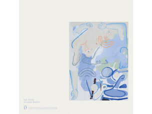 Rock / Indie / Alternative Devendra Banhart - Vast Ovoid LP
