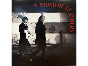 Rock / Indie / Alternative Black Crowes - Pound Of Feathers LP