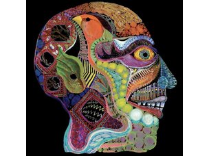 Rock / Indie / Alternative Osees - Cara Maluco 12"