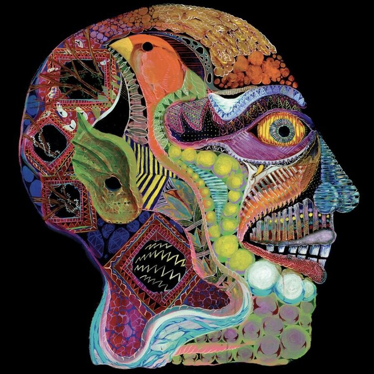 Rock / Indie / Alternative Osees - Cara Maluco 12"