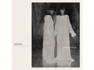 Rock / Indie / Alternative Beth Orton  - Ground Above (indie) LP