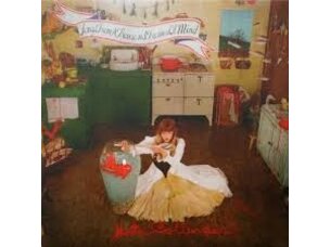 Rock / Indie / Alternative Kate Bollinger - Songs from a Thousand Frames of Mind LP (blue moon)