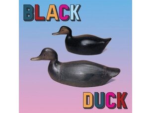 Rock / Indie / Alternative Black Duck - Black Duck LP (orange)