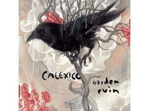 Rock / Indie / Alternative Calexico - Garden Ruin LP