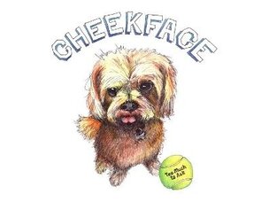 Rock / Indie / Alternative Cheekface - Too Much To Ask LP