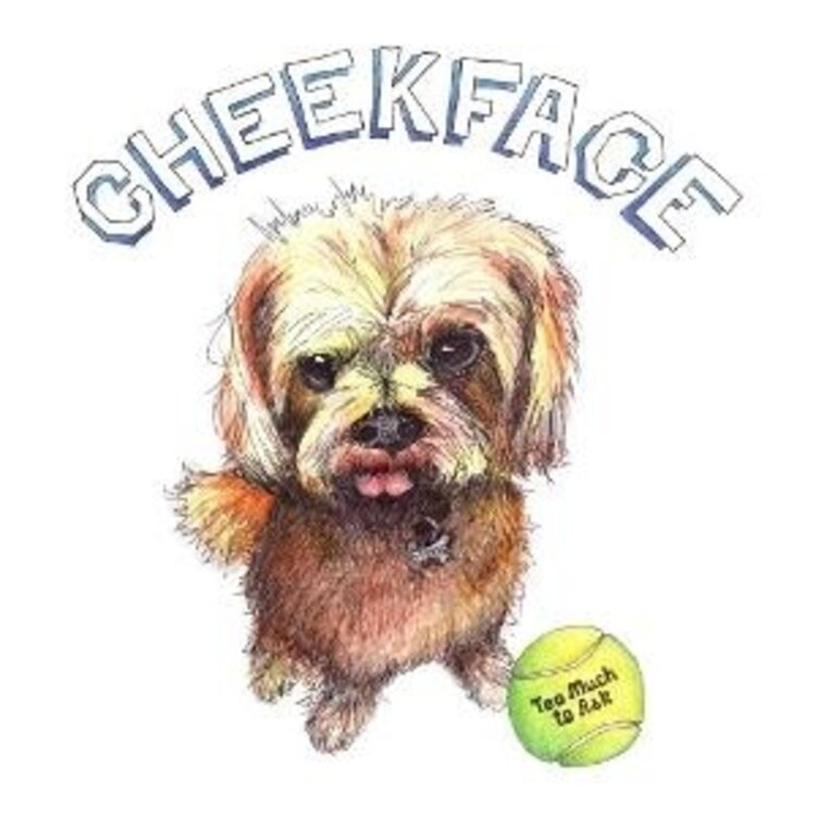 Rock / Indie / Alternative Cheekface - Too Much To Ask LP