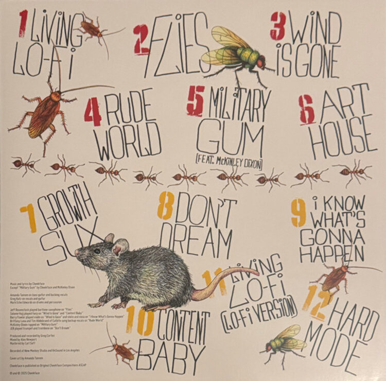 Rock / Indie / Alternative Cheekface - Middle Spoon LP