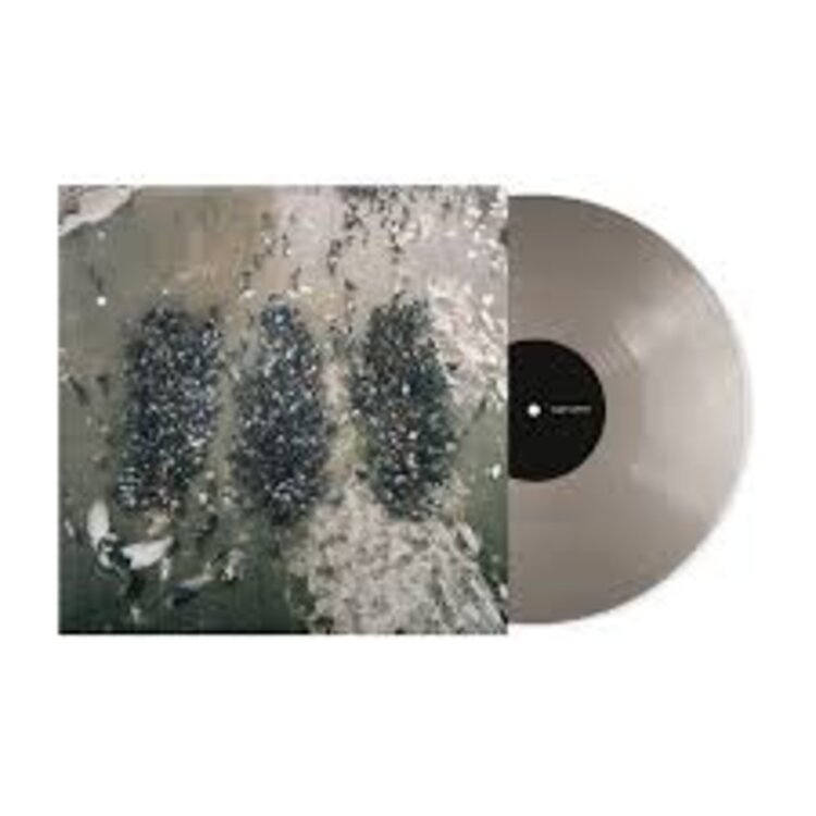 Rock / Indie / Alternative (7/10/26) Show Me The Body - Alone Together LP (silver)