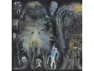 Rock / Indie / Alternative Dinosaur Jr. - There Near