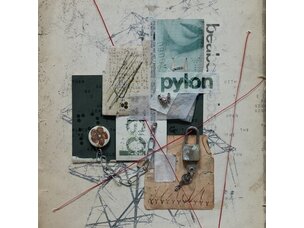 Rock / Indie / Alternative Beabadoobee - Pylon