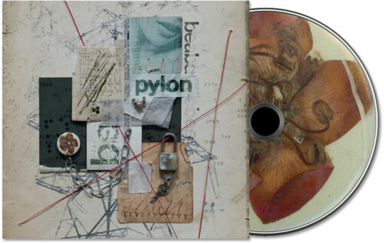Rock / Indie / Alternative Beabadoobee - Pylon