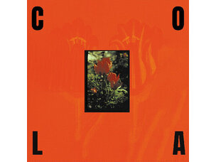 Rock / Indie / Alternative Cola - The Gloss LP (IEX) 2025