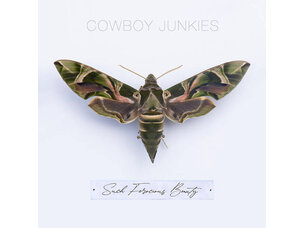 Rock / Indie / Alternative Cowboy Junkies - Such Ferocious Beauty LP (green)