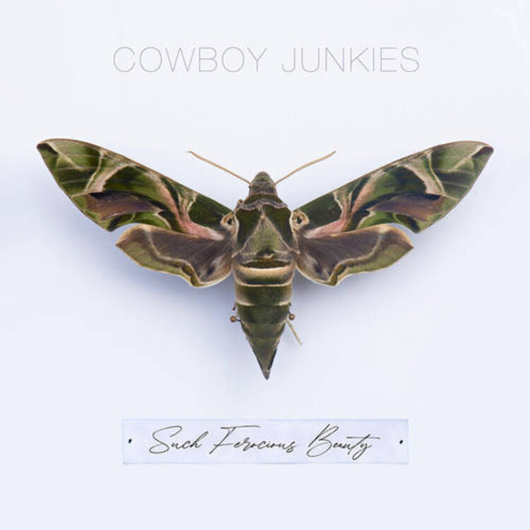 Rock / Indie / Alternative Cowboy Junkies - Such Ferocious Beauty LP (green)
