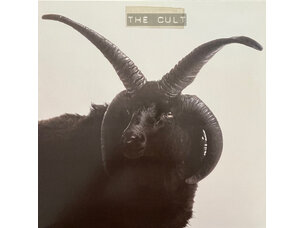 Rock / Indie / Alternative Cult - Cult LP (ivory)