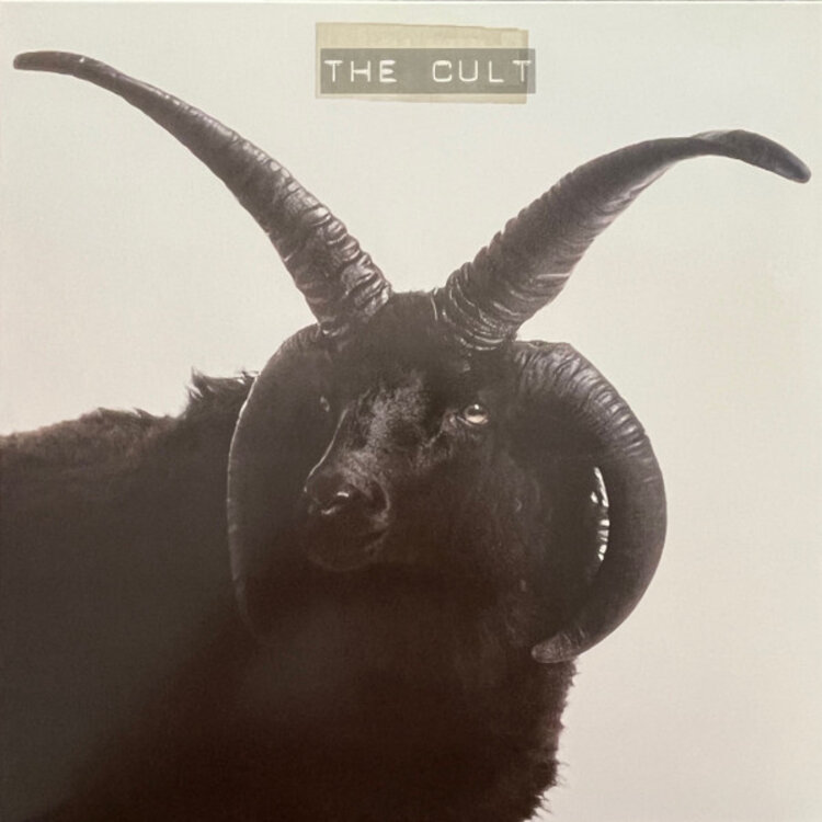 Rock / Indie / Alternative Cult - Cult LP (ivory)