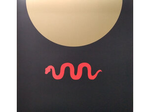 Rock / Indie / Alternative Cult - Under The Midnight Sun LP (white)