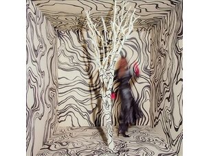Rock / Indie / Alternative Madison Cunningham - Revealer LP