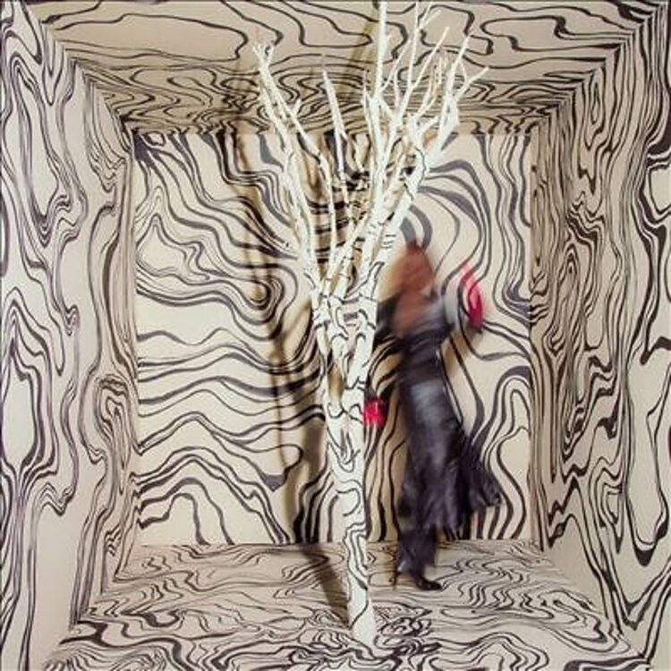 Rock / Indie / Alternative Cunningham, Madison - Revealer LP